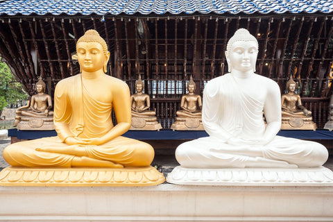 TEIL 2: Unterwegs in Sri Lanka