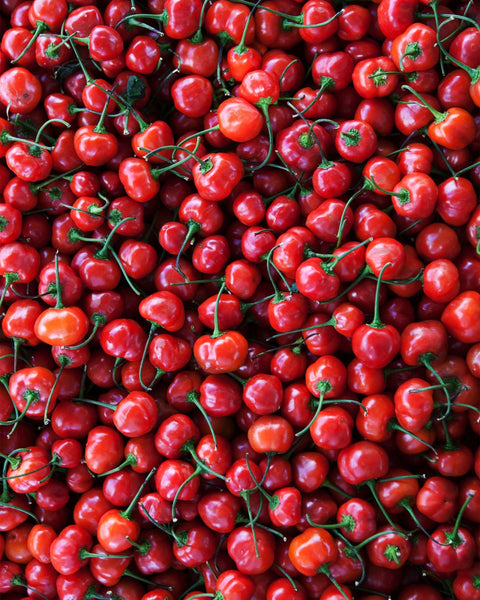 Peppadew® Rote Kirschpaprika in Streifen aus Süd Afrika - Kumaio™ Selecto