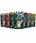 Kumaio® Bio Kokoschips Set mit sieben Sorten in Beuteln auf weißem Hintergrund: Natur, Ananas, Mango, Passionsfrucht, Zimt, Salt & Pepper und Sweet Chilli.