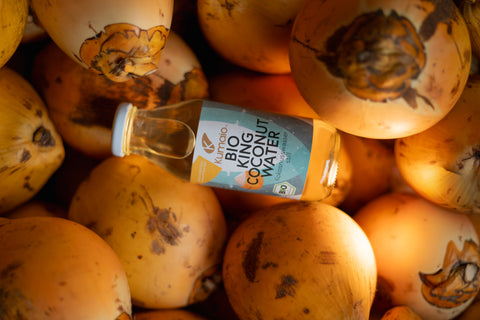 Flasche Kumaio Bio King Kokoswasser zwischen frischen gelben King-Kokosnüssen, von oben fotografiert mit Fokus auf Etikett und natürliche Herkunft.