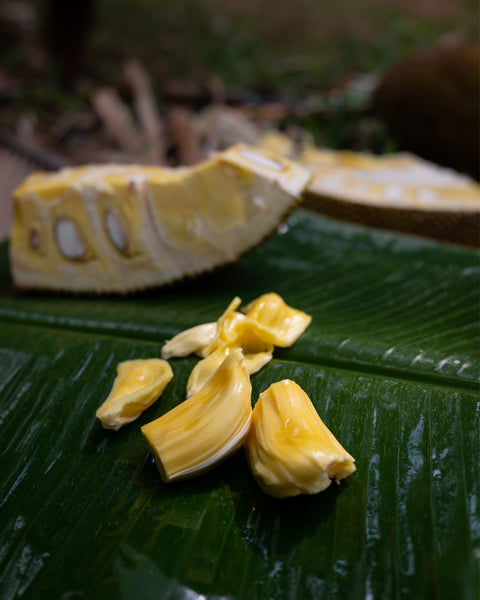Frische reife Jackfruit-Stücke auf einem großen grünen Blatt, mit einer geöffneten Jackfruit im Hintergrund.